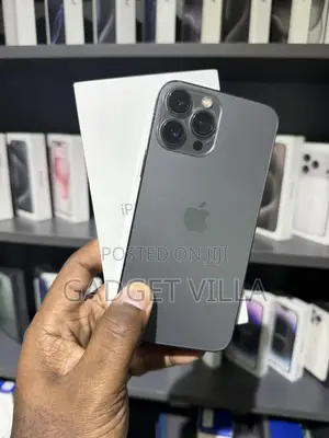 Apple iPhone 13 Pro Max 1 TB Gray