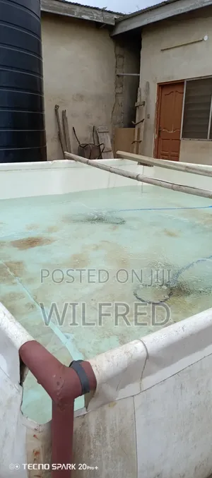 Grow Your Tilapia & Catfish Without Changing Water