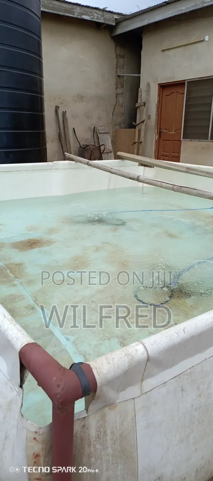 Grow Your Tilapia & Catfish Without Changing Water