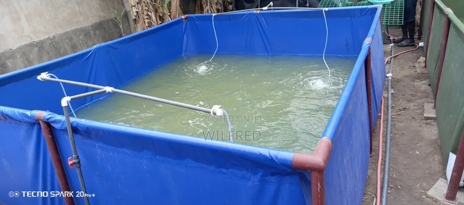 Grow Your Tilapia & Catfish Without Changing Water