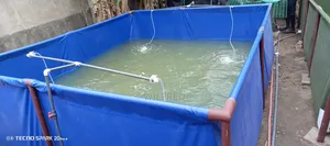 Grow Your Tilapia & Catfish Without Changing Water