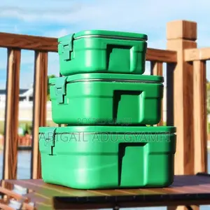 3in1 Food Warmer