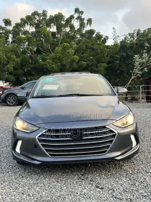 Hyundai Elantra Sport 2018 Gray