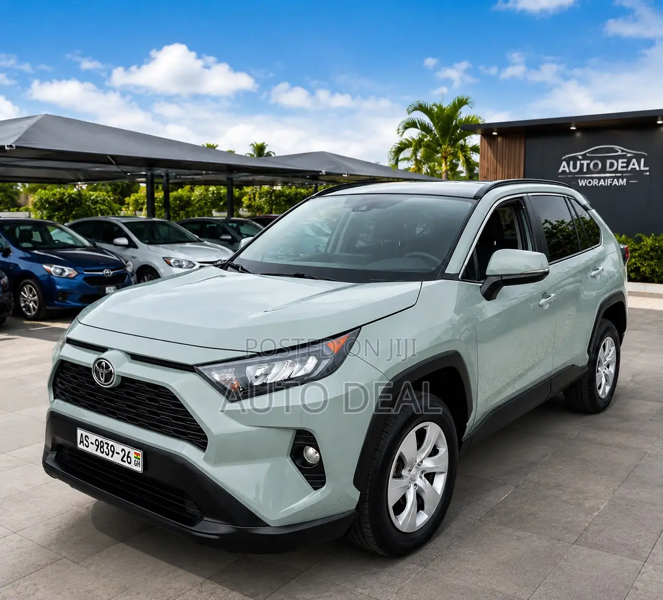 Car Rental / Hiring