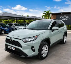Car Rental / Hiring