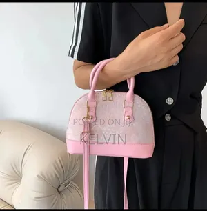 Stylish Bag for Females