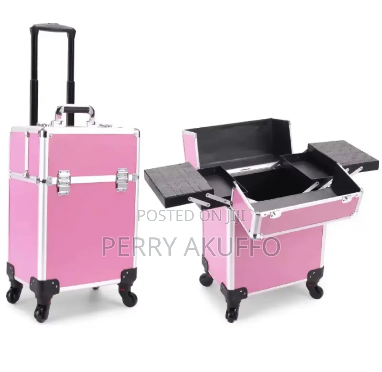 Professional MakeUp Luggage (Large)