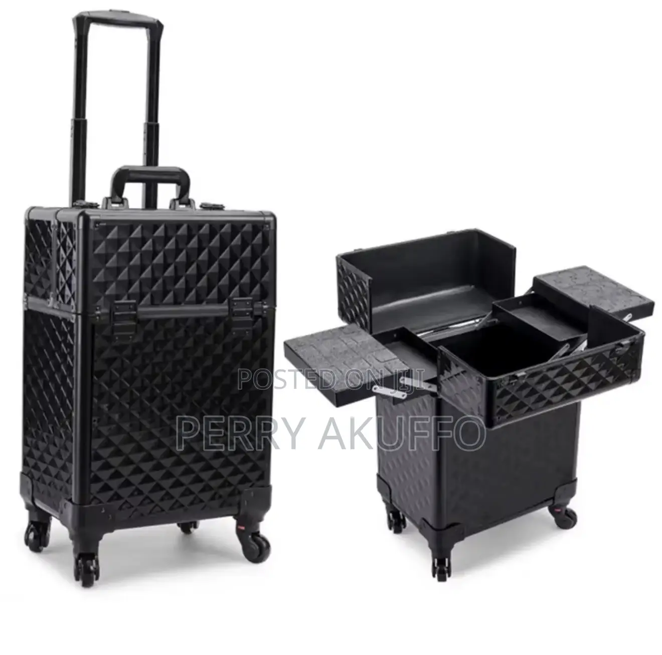 Professional MakeUp Luggage (Large)