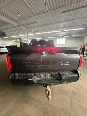 Toyota Tundra 2024 Beige