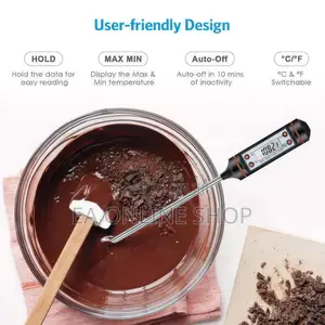 Digital Food Thermometer