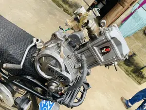 Apsonic AP200ZH-VIP 2024 Gray
