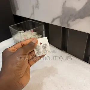 Ladies Earrings