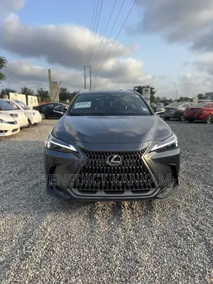 Lexus NX 350 AWD 2023 Gray
