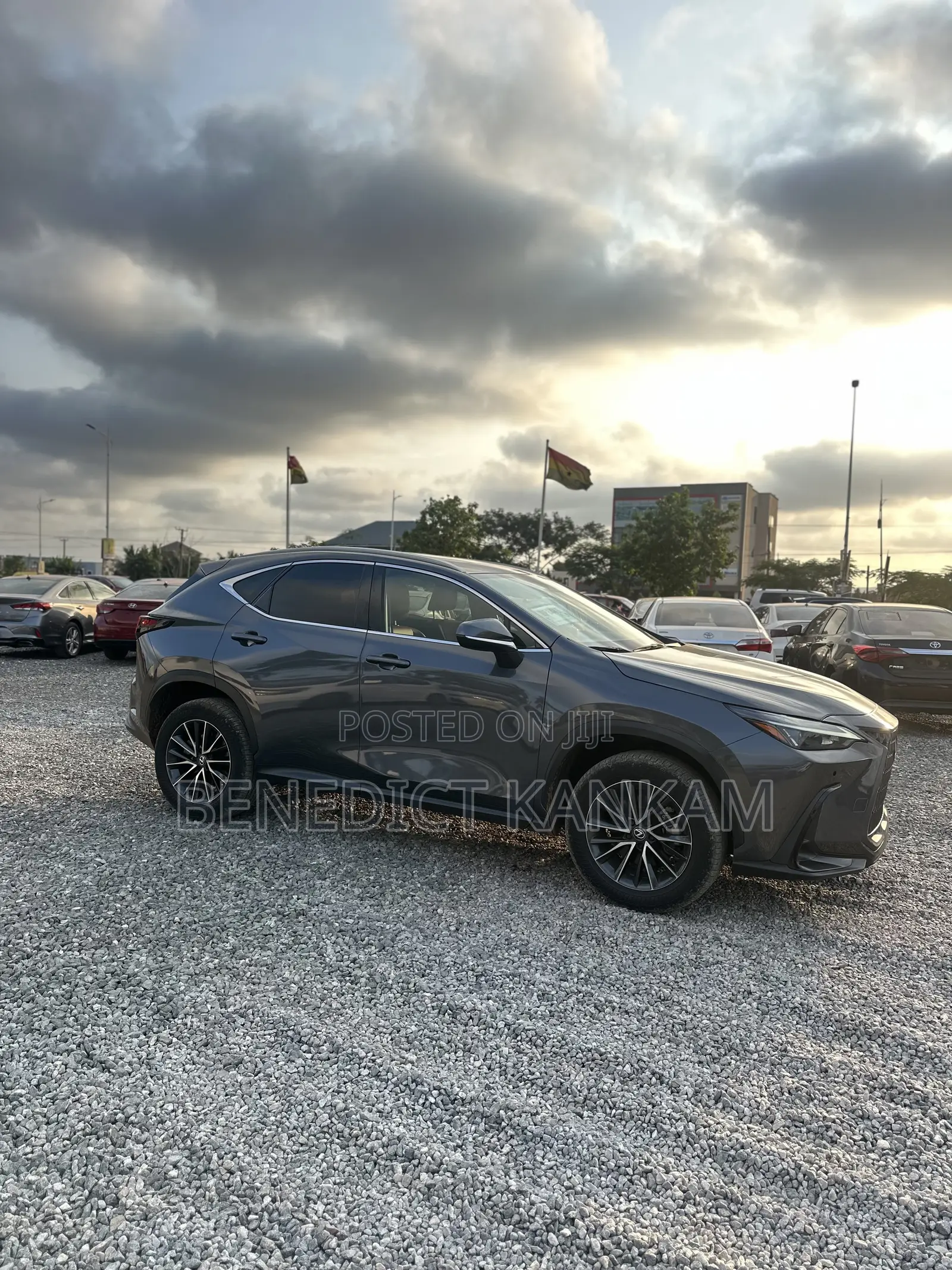 Lexus NX 350 AWD 2023 Gray