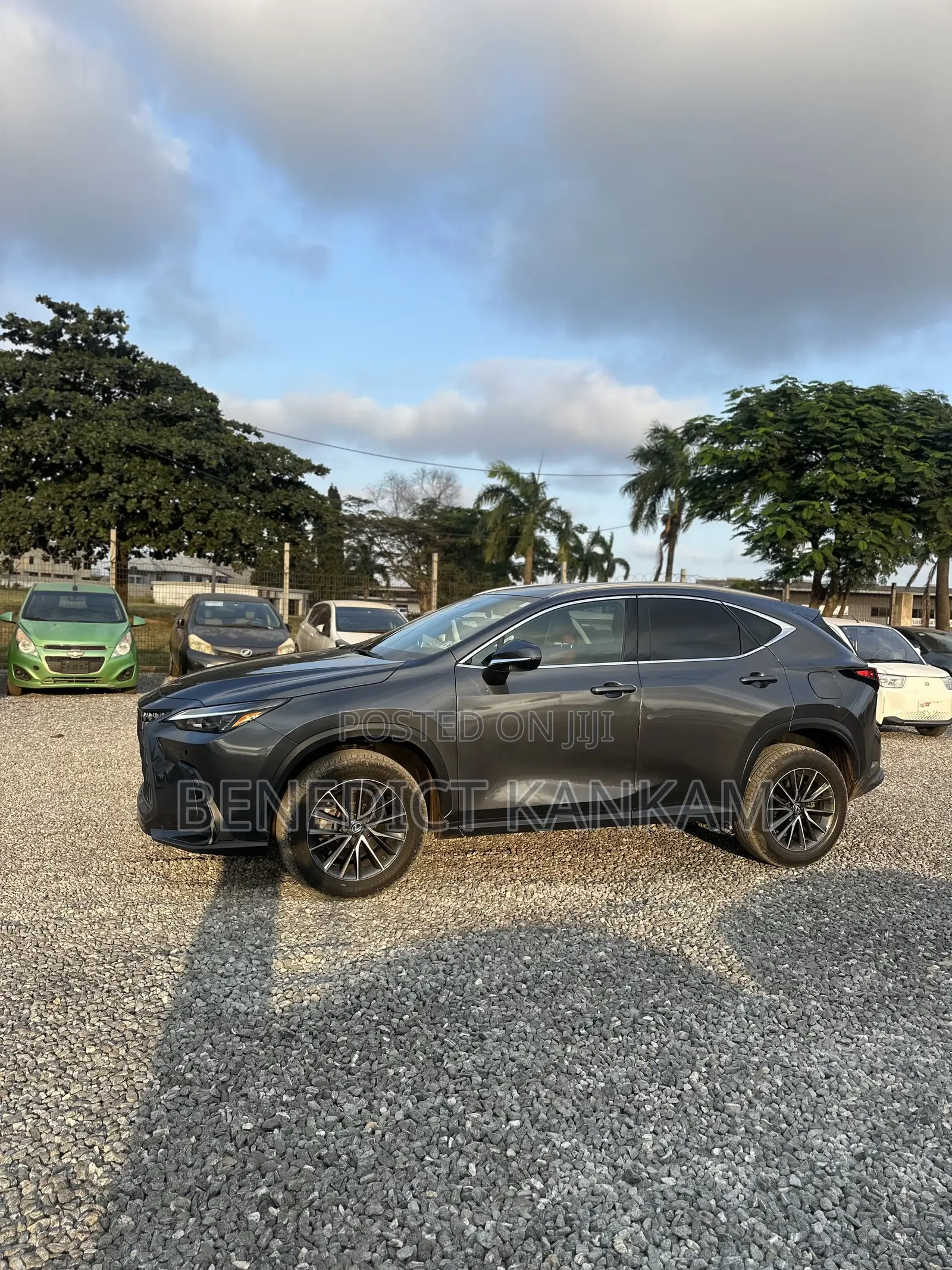 Lexus NX 350 AWD 2023 Gray