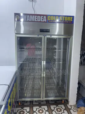 Display Freezer