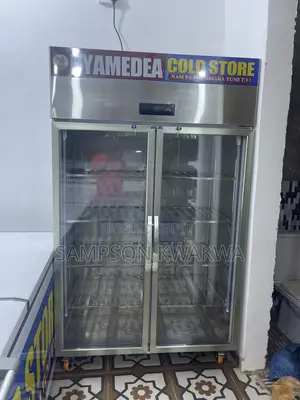 Display Freezer