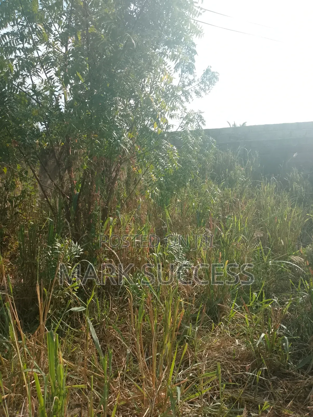 Fenced Plots for Sale @ Kasoa Ofankor