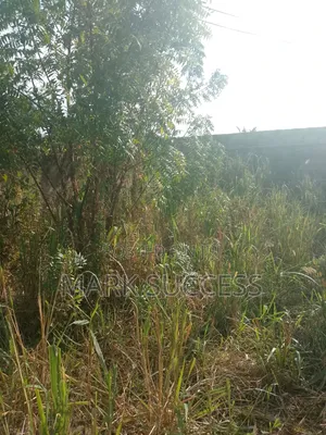 Fenced Plots for Sale @ Kasoa Ofankor