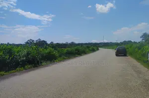 OTI REGION, KWAMIKROM _ 100 Acres Mixed Farmland