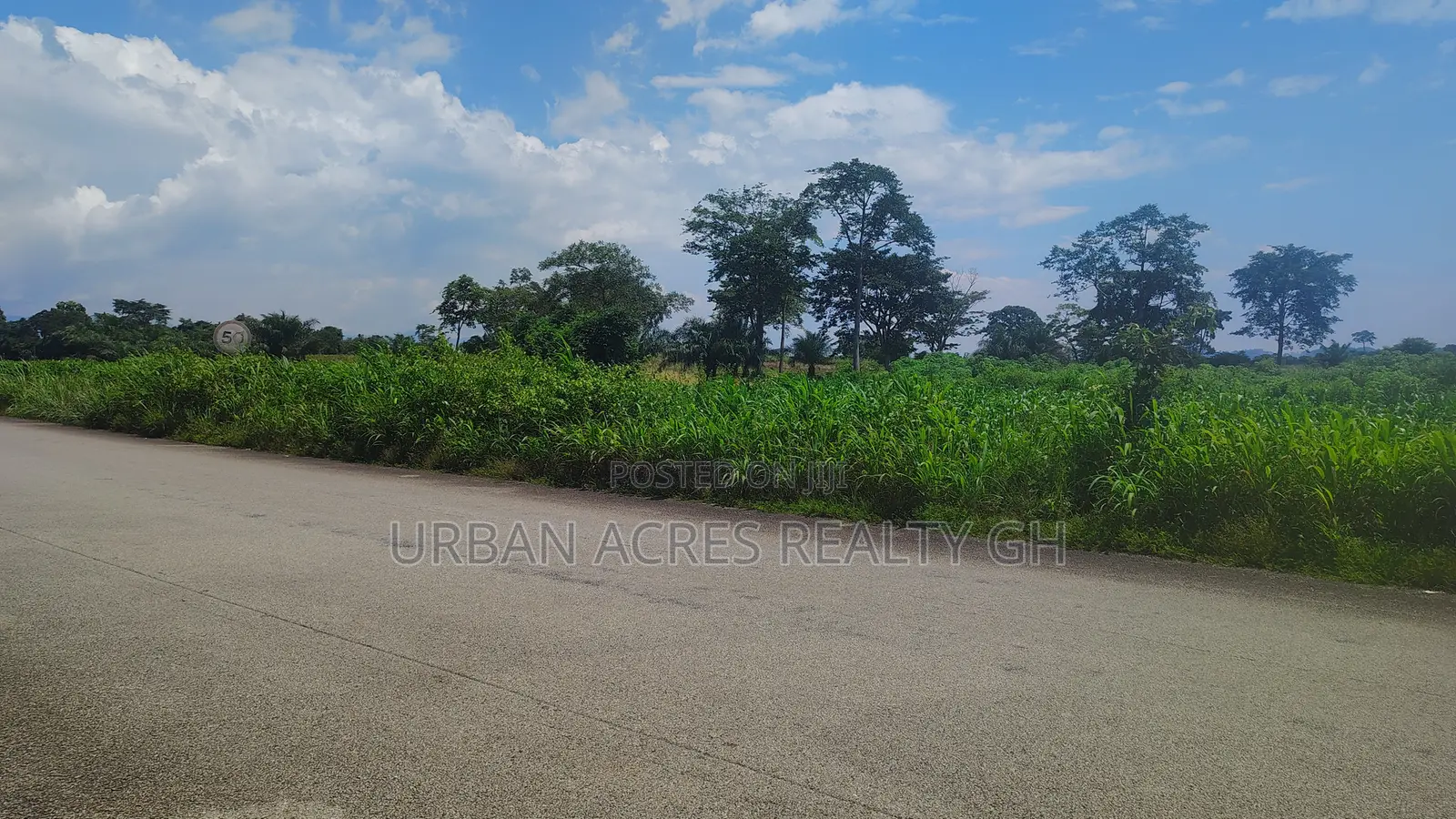 OTI REGION, KWAMIKROM _ 100 Acres Mixed Farmland