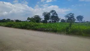 OTI REGION, KWAMIKROM _ 100 Acres Mixed Farmland