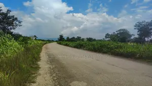 OTI REGION, KWAMIKROM _ 100 Acres Mixed Farmland