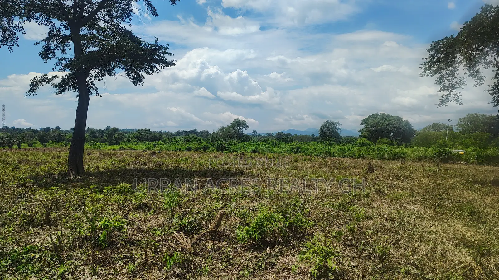 OTI REGION, KWAMIKROM _ 100 Acres Mixed Farmland
