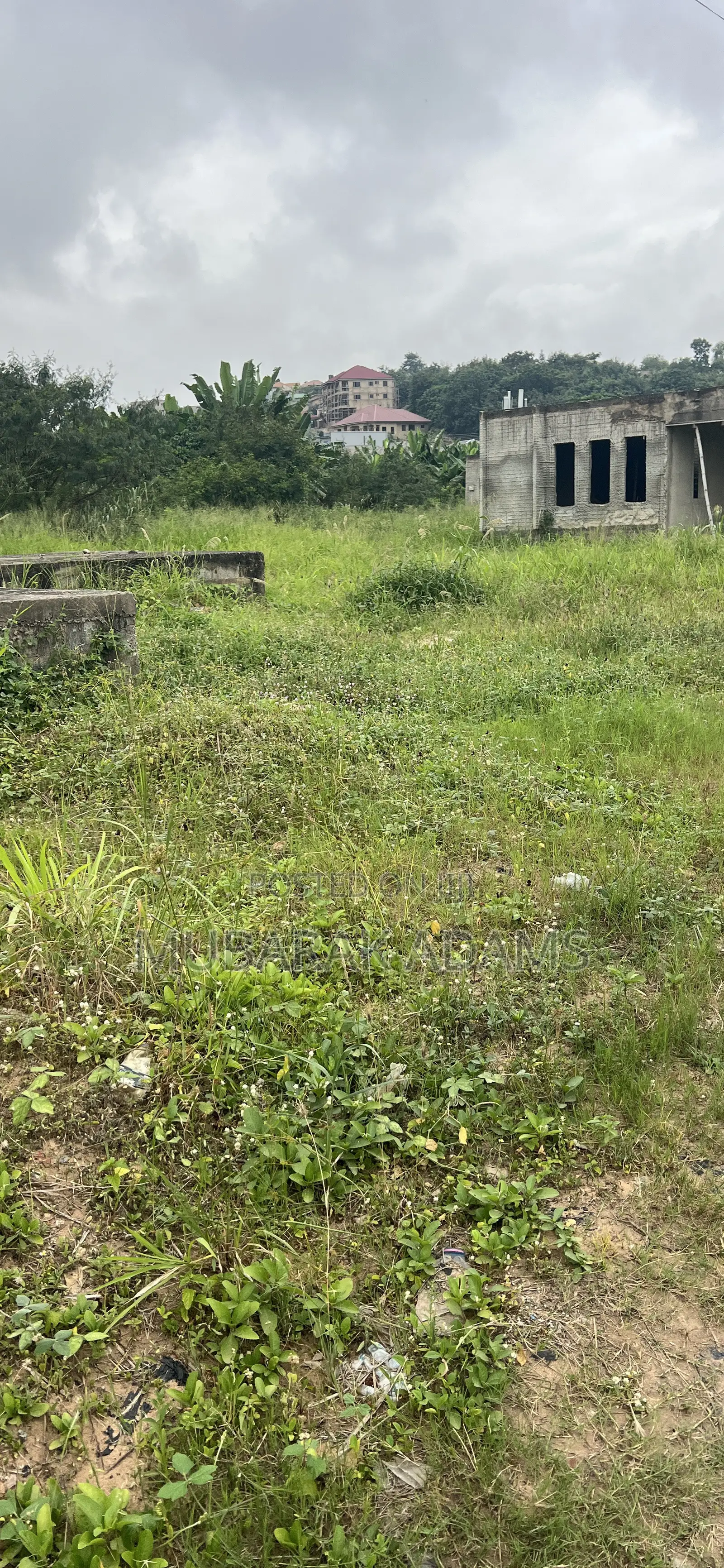 Landscape Cleaning