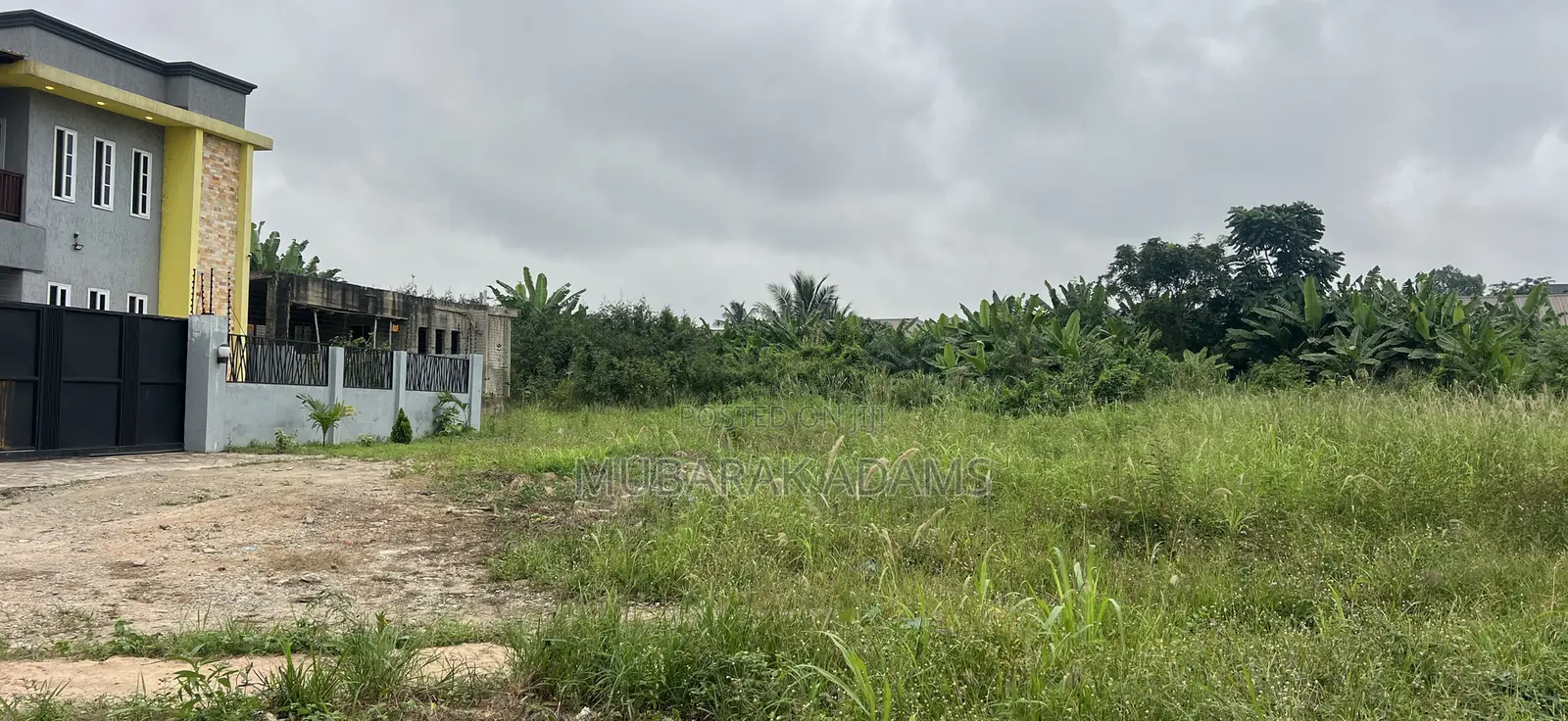 Landscape Cleaning