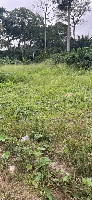 Landscape Cleaning
