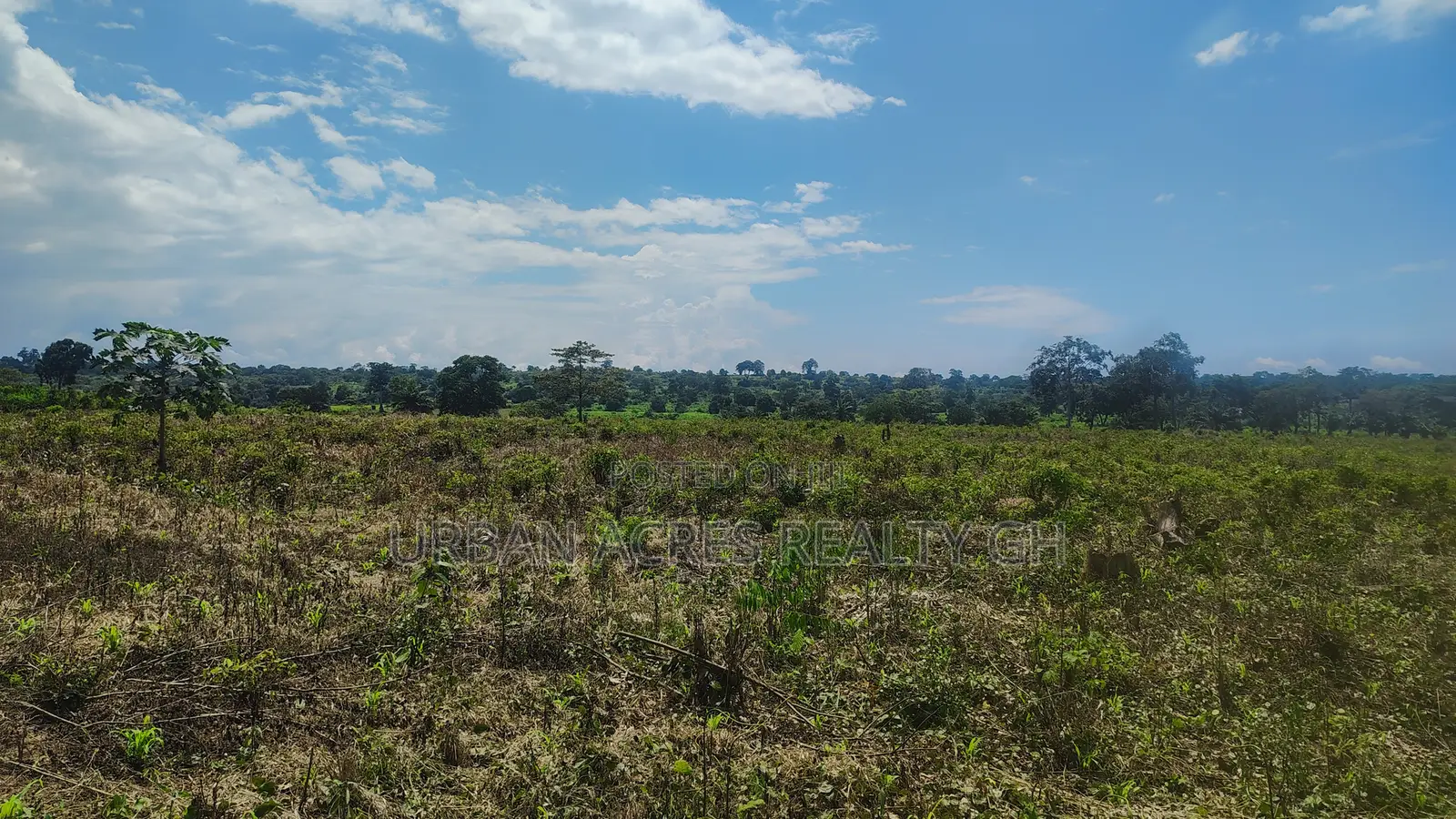 OTI REGION, KWAMIKROM _ 100 Acres Mixed Farmland