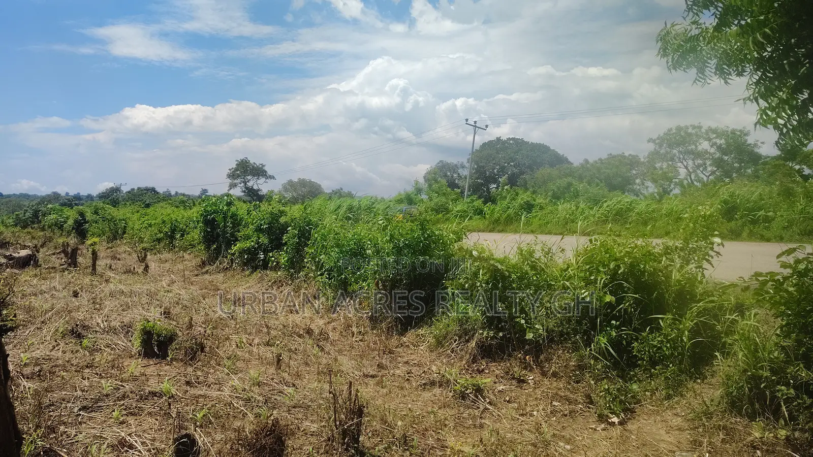 OTI REGION, KWAMIKROM _ 100 Acres Mixed Farmland