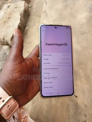 Xiaomi Redmi K70 256 GB