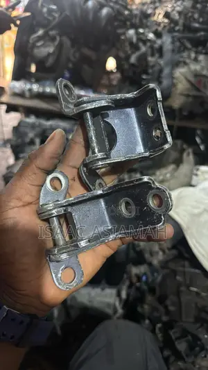 Honda Pilot 2016,2017,2018,2019,2020,2021,2022 Front/Back Door Hinges
