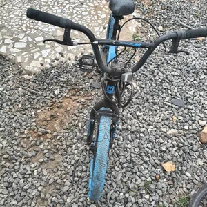 Blue Bicycle