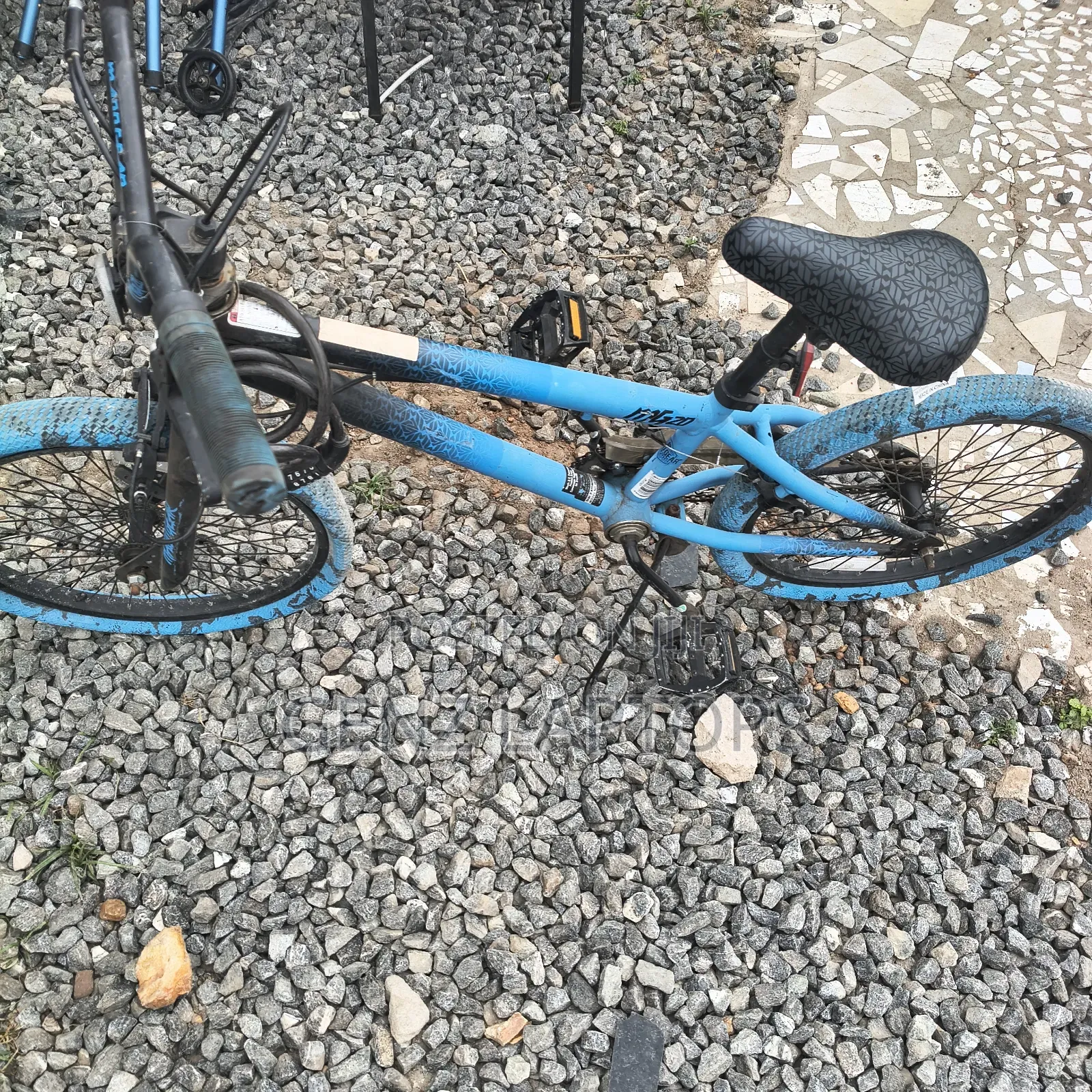 Blue Bicycle