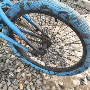 Blue Bicycle