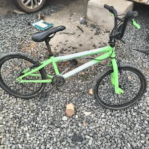 Green Bicycle