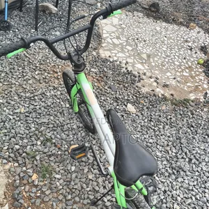 Green Bicycle