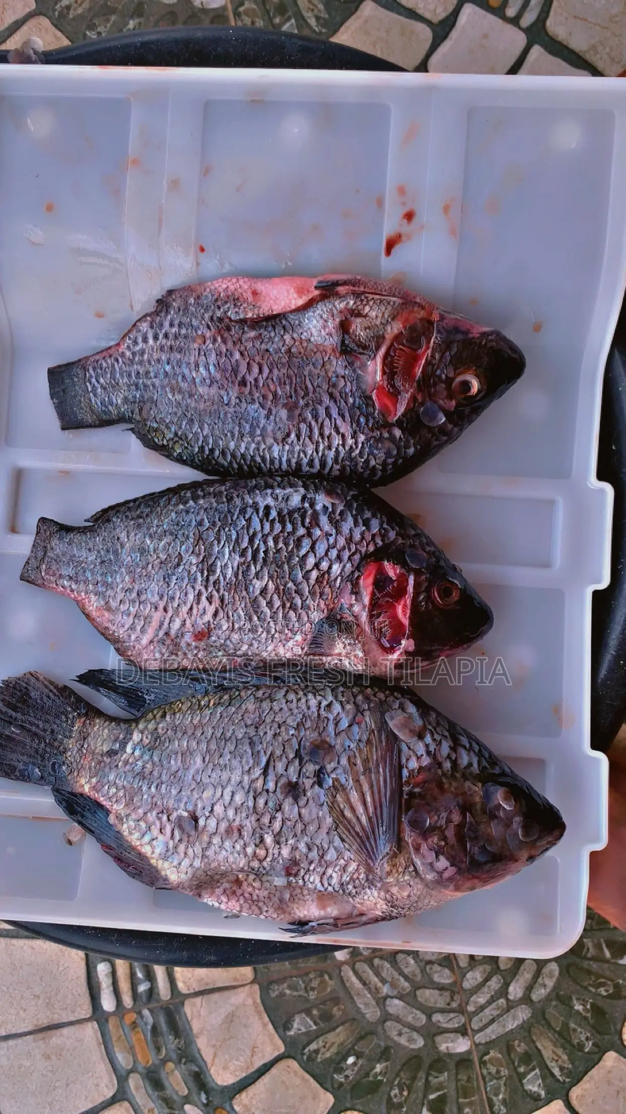 My Tilapia’S Freshness, Tastiness and Affordability Is 100% Assured.