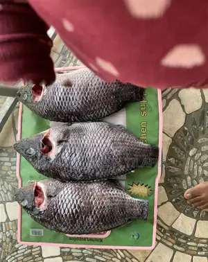 My Tilapia’S Freshness, Tastiness and Affordability Is 100% Assured.