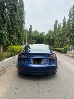 Tesla Model 3 Standard Range Plus RWD 2019 Blue