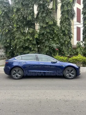 Tesla Model 3 Standard Range Plus RWD 2019 Blue