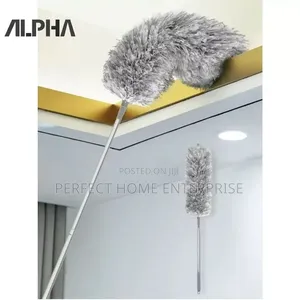 Cobwebs Remover