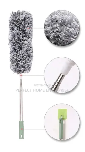 Cobwebs Remover