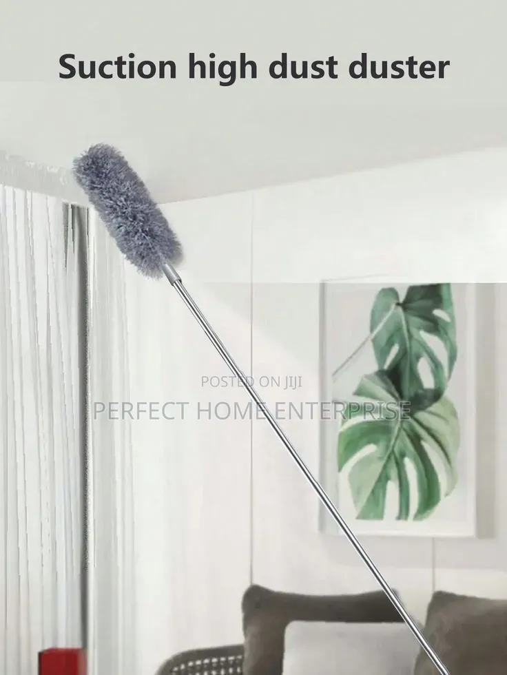 Cobwebs Remover