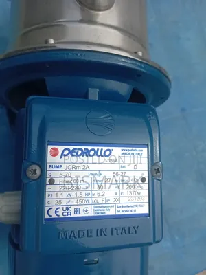 1.5hp Pedrollo Water Pump