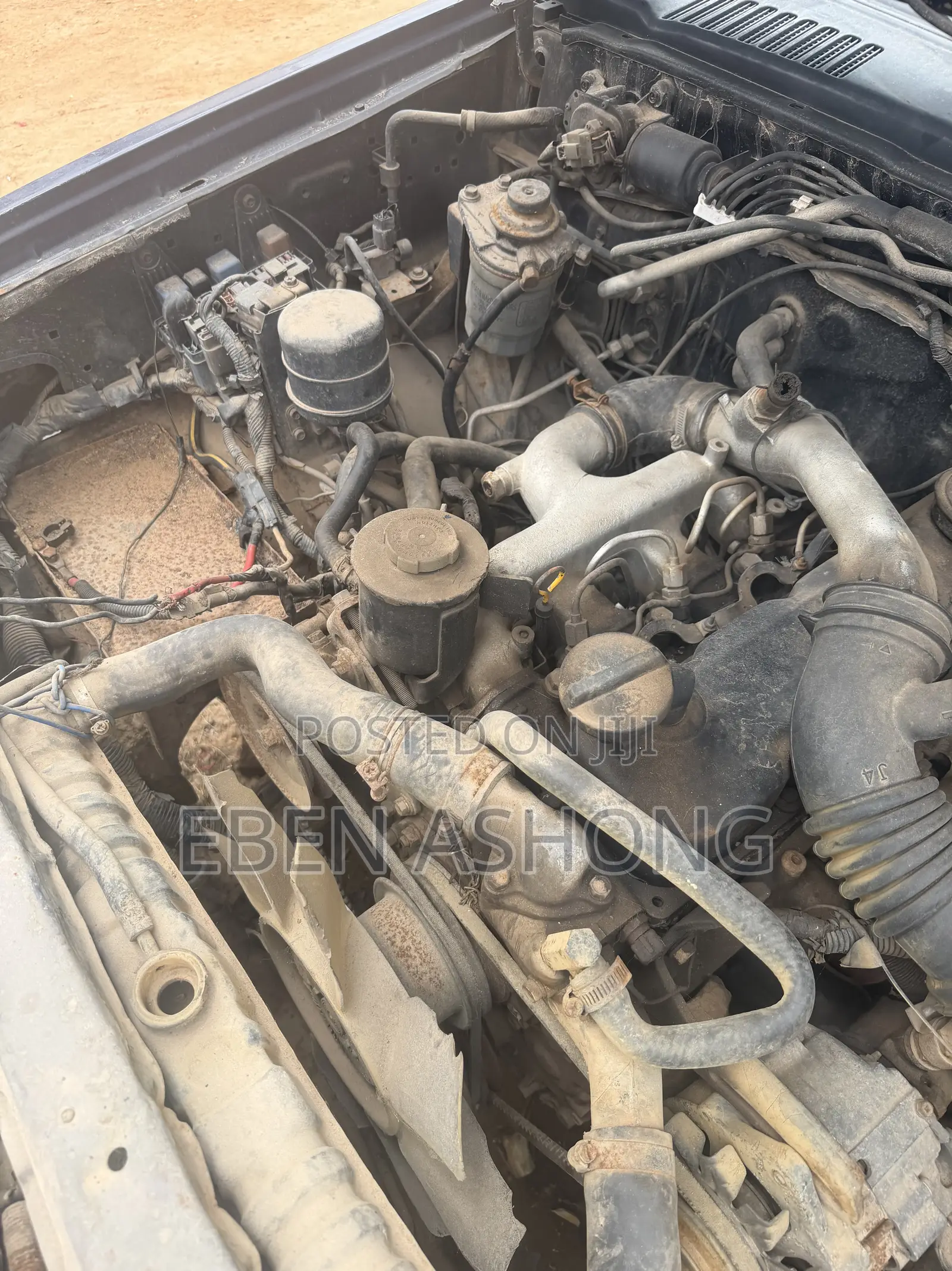 Nissan Hardbody 2010 Blue