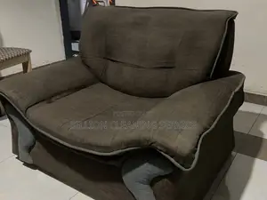 Expect in Sofa Cleaning